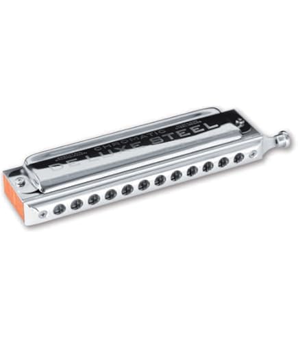 (未使用･未開封品)　Seydel サイドル ハーモニカ クロマチック Chromatic DX STEEL C デラックス スチール C 0pbj0lf Amazon | Seydel サイドル ハーモニカ クロマチック Chromatic DX