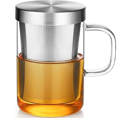 Ecooe Tasse à Thé Verre de Thé Borosilicate Avec Infuseur Amovible en Acier Inoxydable 450ml (Pleine Capacité)