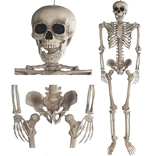 Deko Skelett 160 cm - Party & Halloween Dekoration Ganzkörper Horror Skeleton