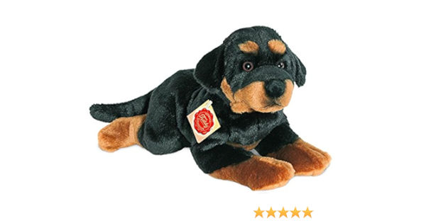 rottweiler teddy