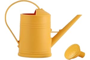 F Fityle Regadera de 2L con Cabezal rociador Desmontable, Herramientas de jardín portátiles de Gran Capacidad, Tarro Decorativo práctico Esmerilado para Patio, Amarillo