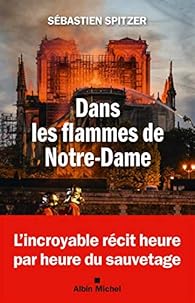 Dans les flammes de Notre-Dame par Sbastien Spitzer