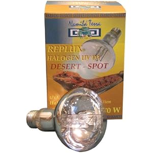 Namiba Terra 1649 Replux UV D3 Desert Halogen Strahler, 70 W