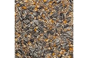 Il Contadino - Antichi Becchimi | Misto per COLOMBI Super | Formula Ricca di Semi Selezionati Adatta per Tutto L'Anno, No OGM, 100% Vegetale, Assenza di scarti. qualità Superiore (10 kg)