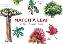 Match a Leaf: A Tree Memory Game: 1: Kirkham, Tony, Exley, Holly + Free ...