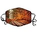 Produktbild Beautiful Autumn Tunnel of Love Ukraine Hd Printed Mouth Masks Unisex Anti-dust Masks Reusable Face Mask