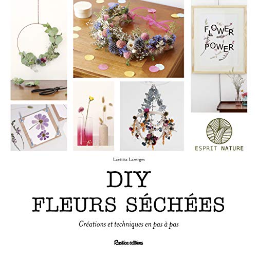 Télécharger DIY fleurs séchées : Créations et techniques en pas à pas PDF