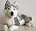 Produktbild Husky liegend 40 cm