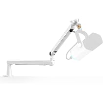 InnoGear Mic Boom Arm Stand With Cable Management & Low Profile Mic