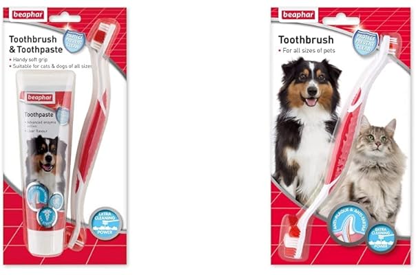 disposable dog toothbrushes