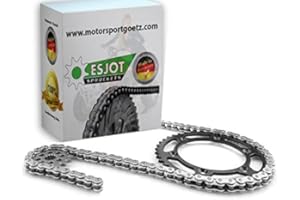 ESJOT Kettensatz Ersatzteil für/kompatibel mit Bashan 200/250 / 300 Tuning verstärkt