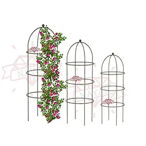 NAYAB Iron Flower Supporter For Climbing Vines And Plants, Large - height 62cm, diameter 26cm, Medium - height 58cm, diameter 22cm, Small - height 54cm, diameter 18cm, 3 Pieces
