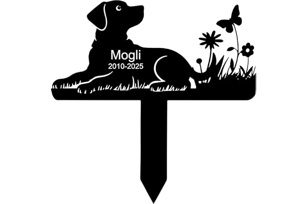 pierre tombale personnalisée pour animaux de compagnie,commémoratif plaque chien,médaillon funéraire,objets commémoratifs et funéraires pour chiens