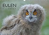  Eulen-Kalender (Wandkalender 2019 DIN A3 quer): Faszinierende Portraits und Flugaufnahmen europäischer Eulen (Monatskalender, 14 Seiten ) (CALVENDO Tiere)