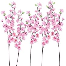 Disegni Fiori Di Pesco Stampae Colorare