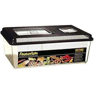 Exo Terra Faunarium flach groß - Allzweckbehälter für Reptilien, Amphibien, Mäuse und Insekten