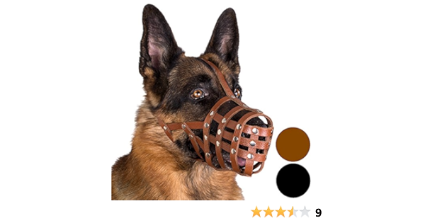 german shepherd muzzle amazon