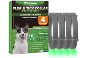WOYAMAY 4 Collier Anti Puces pour Chien Lumineux Et Imperméable - Anti Puce Chien Efficace avec Design Confortable Et Résistant À l'eau, Gris