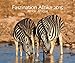 Faszination Afrika 2015: PhotoArt Kalender by