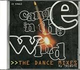 Candle in the wind