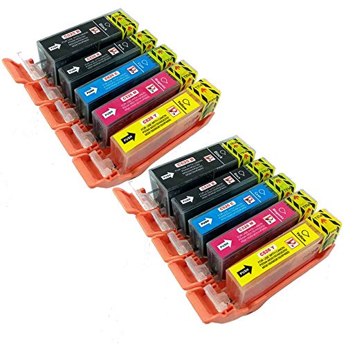 PerfectPrint 10 Drucker Patrone kompatibel PGI-525 Für Canon iP4800 iP4850 iP4950 iX6250 iX6550 MG5150 MG5200 MG5250 MG5350 MG6150 MG6220 MG6250 MG8150 MG8220 MG8250 MX420 MX6552 MX6555 IP4800 IP4850 IP4950 IX6250 IX6550 MG5150 MG5200 MG5250 MG5350 MG6150 MG6220 MG6250