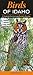 Produktbild Birds of Idaho: A Guide to Common & Notable Species