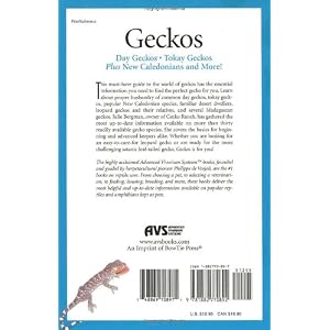 Geckos: Day Geckos, Tokay Geckos Plus New Caledonians and More!