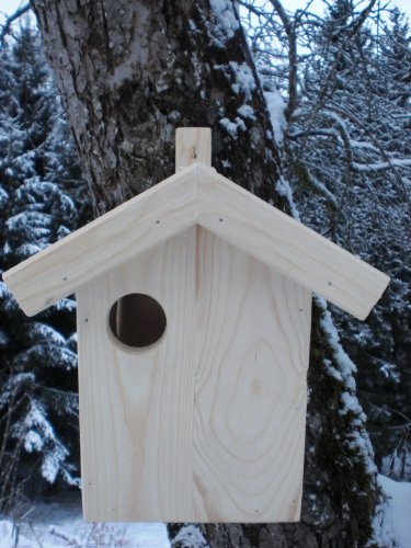 Eichhörnchen-Haus-Bausatz XXXL-(Ei Bausatz)-Eichhörnchenhaus-Bausatz-Nistkasten-Kobel-Holzschindeldach-Vogelhaus - 2