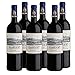 Produktbild Südafrika Stellenbosch Shiraz Kaapzicht Rotwein 2015 trocken (6x 0.75 l)