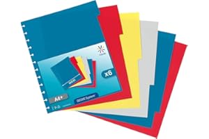 Viquel - Separadores Maxi A4 de 6 posiciones para GEODE View Door