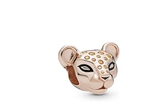 JCALEYDO Abalorios en Plata de Ley 925 compatible con pulsera Pandora