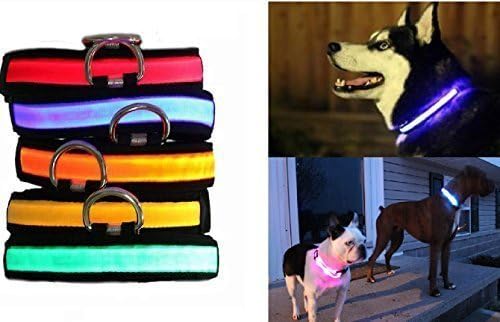 Led Safety Bright Flashing Light Adjustable Dog Pet Collar Plain Nylon Tag Uk (S, Yellow)
