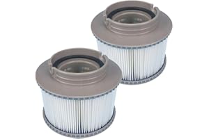 WuYan Lot de 2 filtres de Rechange pour MSpa FD2089, Cartouche de Filtre pour Piscine, et spas