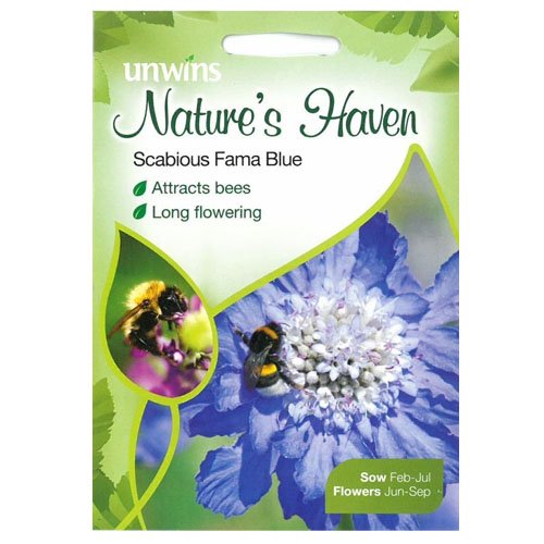 Preisvergleich Produktbild Unwins Wildblumen Samen-Witwenblume Fama Blau