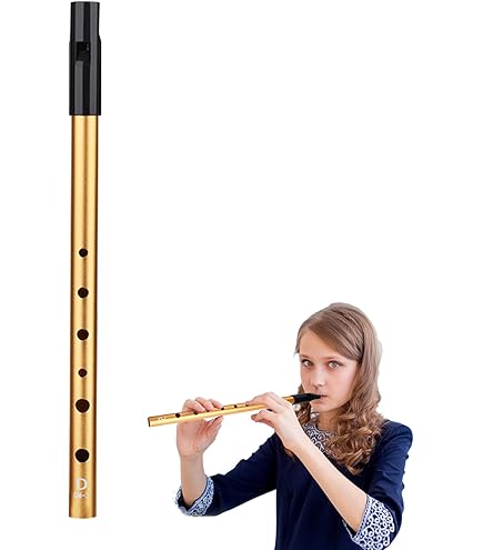 Ierse Fluit Muziek Recorder Workshop Blockfluit Workshop 922D Ierse Fluitje In D Ierse Fluit Kopen