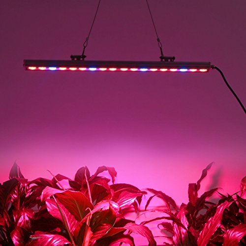 Roleadro ® 54w Led Grow Light Bar für Gewächshaus Pflanze IP65 Waterproof Blue and Red Light 550x30x30mm (1 ,54w) - 8
