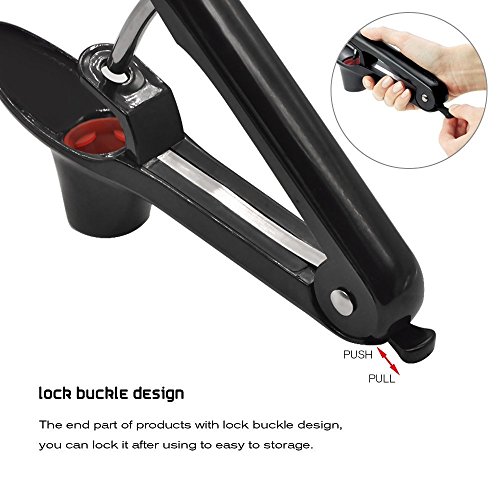GWCLEO Kirsch und Oliven Pitter, Trauben und Cranberries Frucht Corer Pitter Küche Entferner Werkzeug - 5