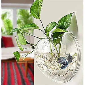 Acrylic Wall Hanging Bowl for Fish and Indoor Water Plants 15 Inch White Colour