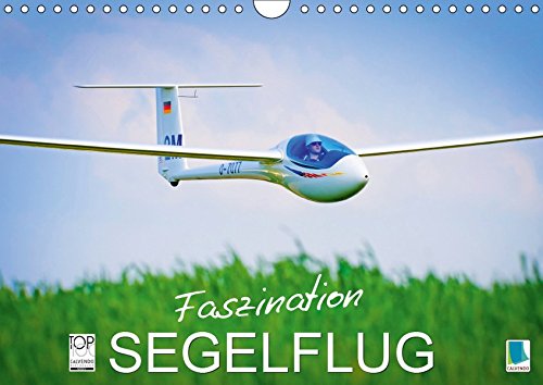 Faszination Segelflug (Wandkalender 2019 DIN A4 quer): Segelfliegen: Gleiten im Aufwind (Monatskalender, 14 Seiten ) (CALVENDO Mobilitaet)