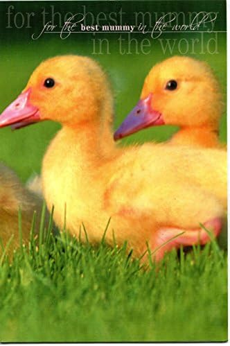 Mothers Day Card Ducklings theme