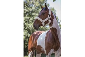 SYMANTEC Norton Licol Full Mouton synthétique - Couleurs - Noir/Beige, Taille Equipement Cheval - Cheval