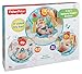 Fisher-Price 2-in-1 Sensory Stages Bouncer