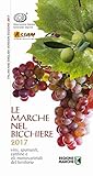 Image de Le Marche nel bicchiere 2017. Vini, spumanti, cantine o oli monovarietali del territorio. Ediz. bilingue