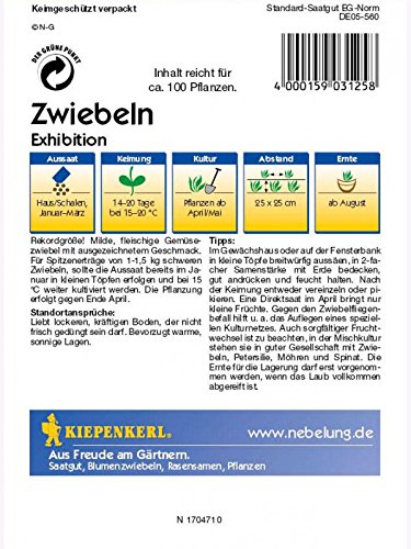 Zwiebeln Gemüsezwiebeln Exhibition - 2