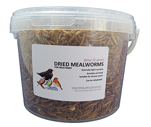 Britten & James - Dried Mealworms Mealworms secs. Nourriture pour Les Oiseaux Sauvages. 2 litres. Baignoire scellée