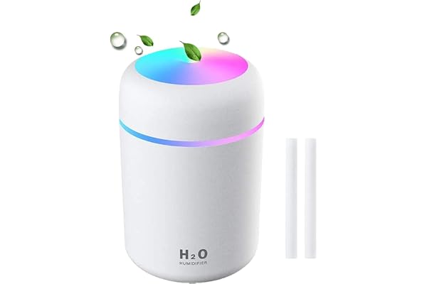 DONDA Mini USB Humidifier for Room Moisture, Cool Mist for Cold & Cough, Silent Portable Mist Maker for Bedroom, Kids & Car,300 Ml (White)