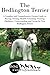 Produktbild The Bedlington Terrier: A Complete and Comprehensive Owners Guide to: Buying, Owning, Health, Grooming, Training, Obedience, Understanding and Caring to Caring for a Dog from a Puppy to Old Age