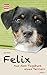 Produktbild Felix. Aus dem Tagebuch eines Terriers