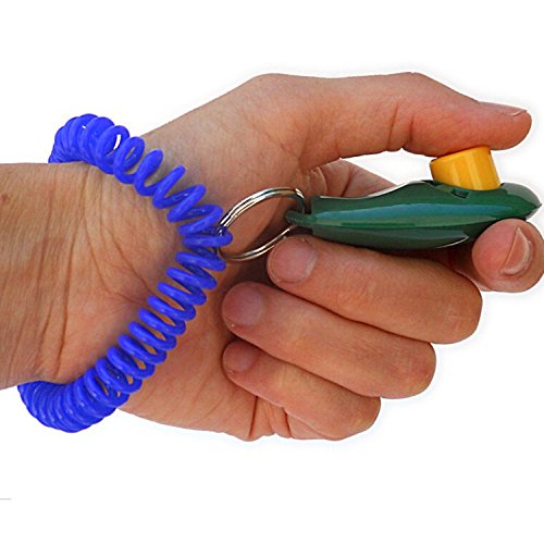 Pet-Cat-Button-Clicker-Training-Dog-Trainer-Equipment-Accessories-Random-Color-Quantity-1
