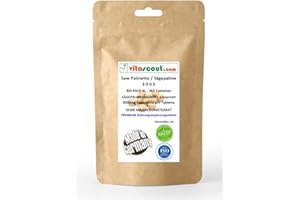 VITASCOUT Saw Palmetto Extrakt – 365 Tabletten, Sägepalme 3000 – Höchste Dosierung – Ohne Magnesiumstearat – Unterstützt Prostatagesundheit